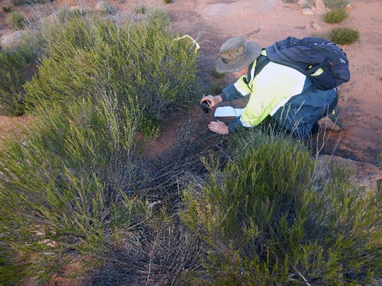 Our delicate reminders for a healthy operation